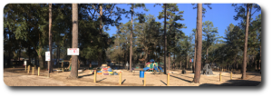 playground 2017